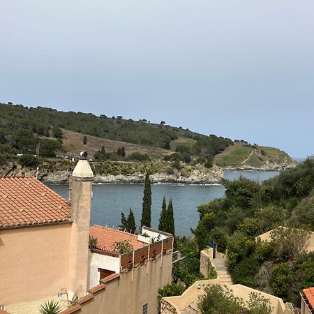 T3 Pieds Dans L'Eau Clim Wifi Terrasse Vue Mer Banyuls-sur-Mer Luaran gambar